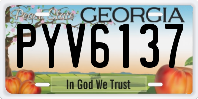 GA license plate PYV6137