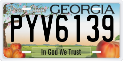 GA license plate PYV6139