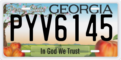 GA license plate PYV6145