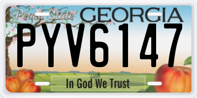 GA license plate PYV6147