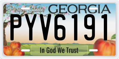 GA license plate PYV6191