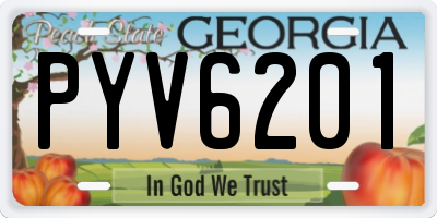 GA license plate PYV6201
