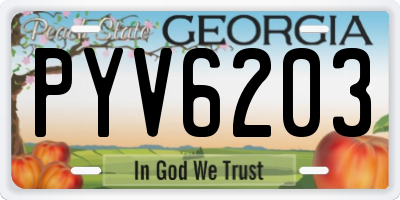 GA license plate PYV6203