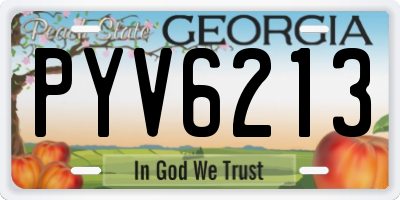 GA license plate PYV6213