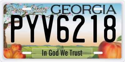 GA license plate PYV6218