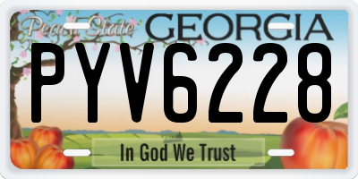 GA license plate PYV6228