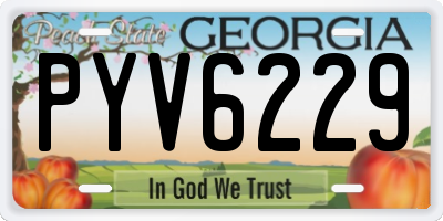 GA license plate PYV6229
