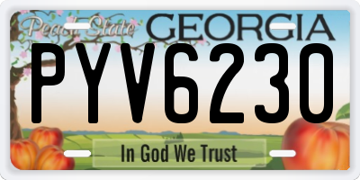 GA license plate PYV6230