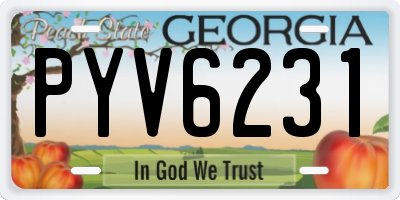 GA license plate PYV6231