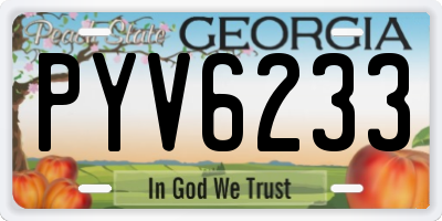 GA license plate PYV6233