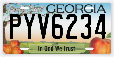 GA license plate PYV6234