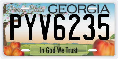 GA license plate PYV6235