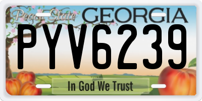 GA license plate PYV6239