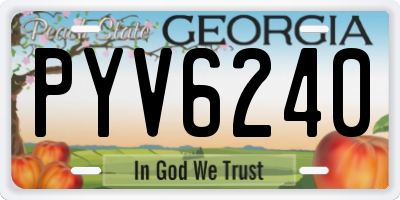 GA license plate PYV6240