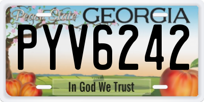 GA license plate PYV6242