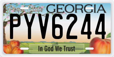 GA license plate PYV6244