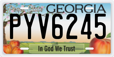 GA license plate PYV6245