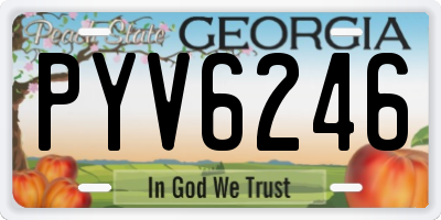 GA license plate PYV6246