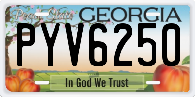 GA license plate PYV6250