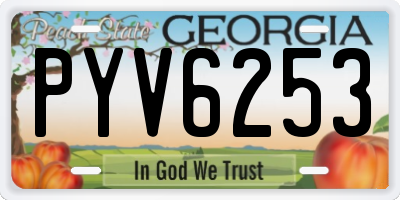 GA license plate PYV6253