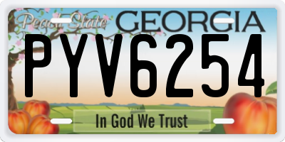 GA license plate PYV6254