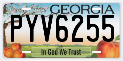 GA license plate PYV6255