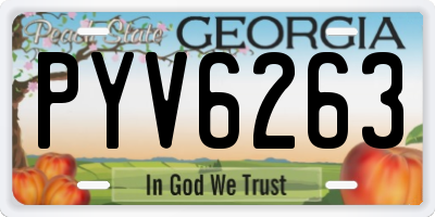 GA license plate PYV6263