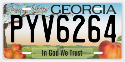 GA license plate PYV6264