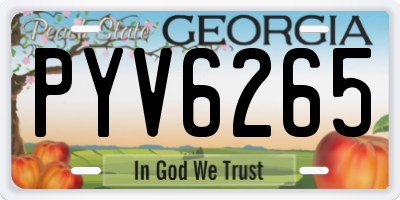 GA license plate PYV6265