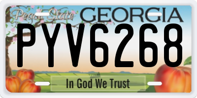 GA license plate PYV6268