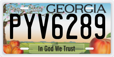 GA license plate PYV6289