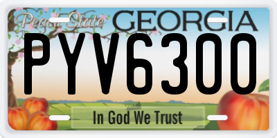 GA license plate PYV6300
