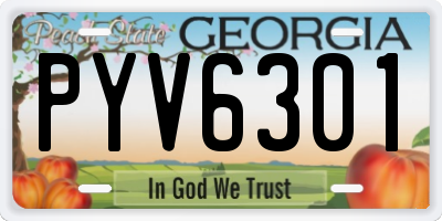 GA license plate PYV6301