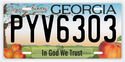 GA license plate PYV6303