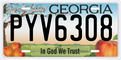 GA license plate PYV6308