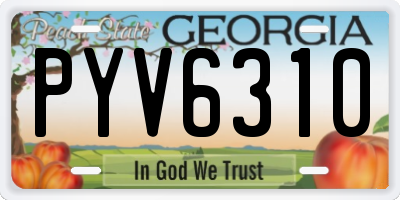 GA license plate PYV6310