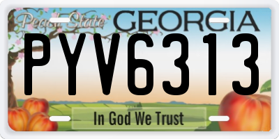 GA license plate PYV6313