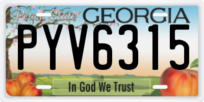 GA license plate PYV6315