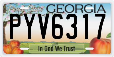 GA license plate PYV6317