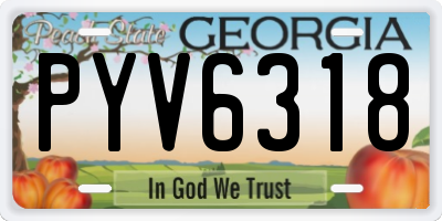 GA license plate PYV6318