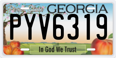 GA license plate PYV6319
