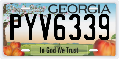 GA license plate PYV6339
