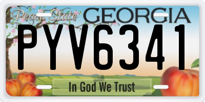 GA license plate PYV6341