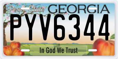 GA license plate PYV6344
