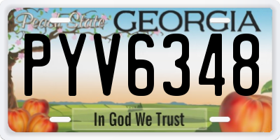 GA license plate PYV6348