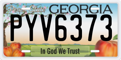 GA license plate PYV6373
