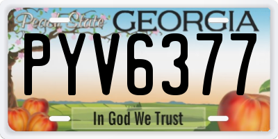 GA license plate PYV6377