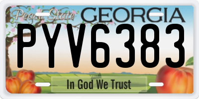 GA license plate PYV6383