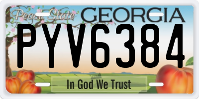 GA license plate PYV6384