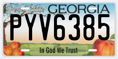 GA license plate PYV6385